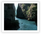�koly